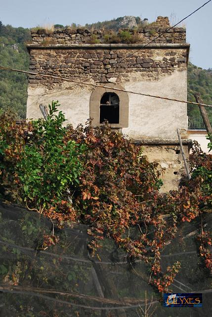 torre di trarivi tra le viti.JPG